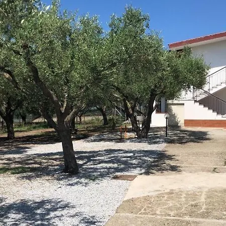 Vacanze Sangeni Apartment Capo Vaticano